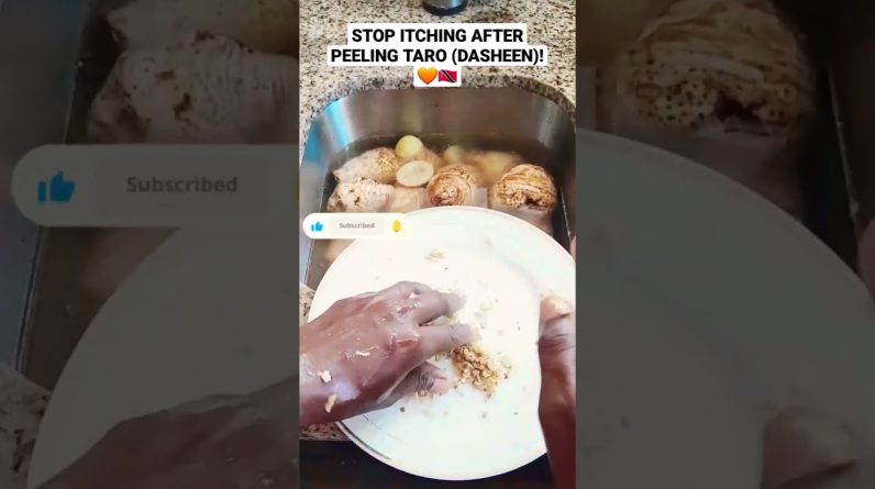 1765730775 maxresdefault