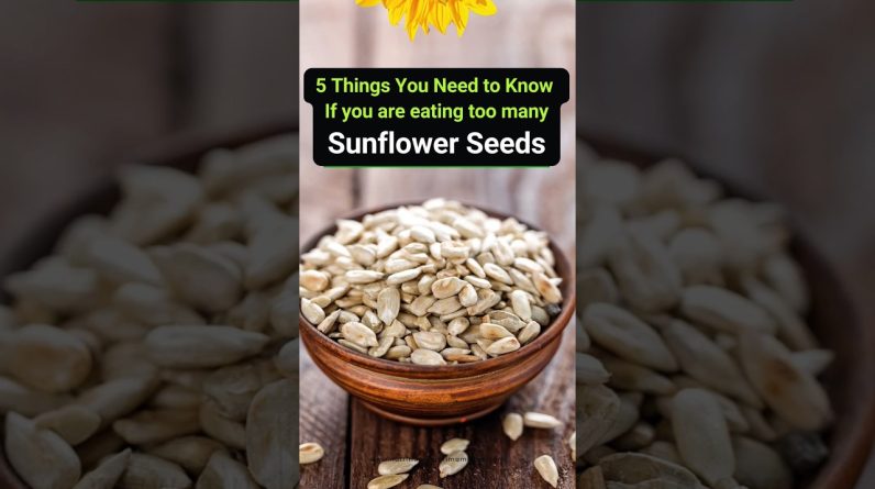 1765734416 maxresdefault