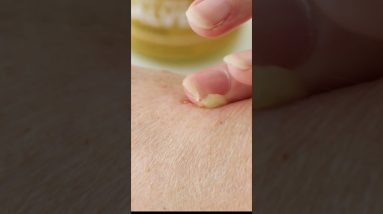 1765735351 maxresdefault