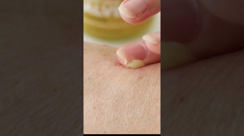 1765735351 maxresdefault