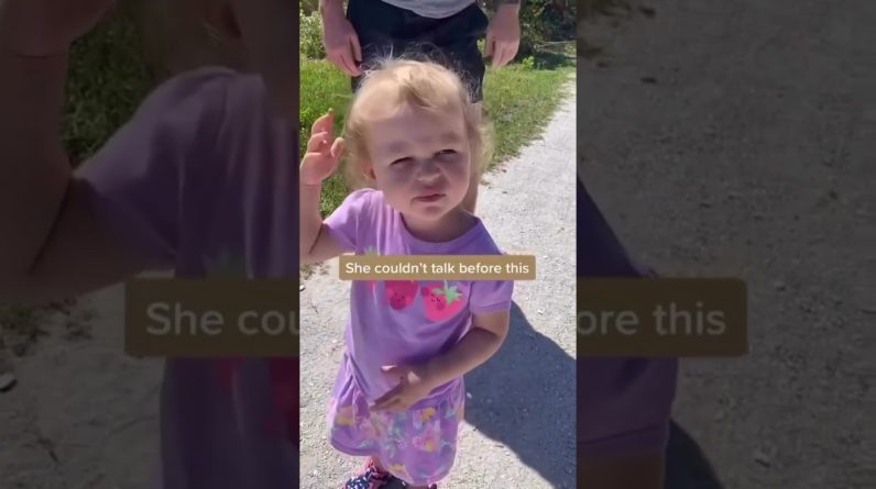 1765749075 maxresdefault