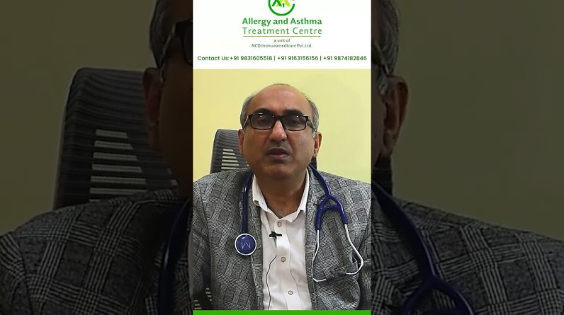 1765756412 maxresdefault