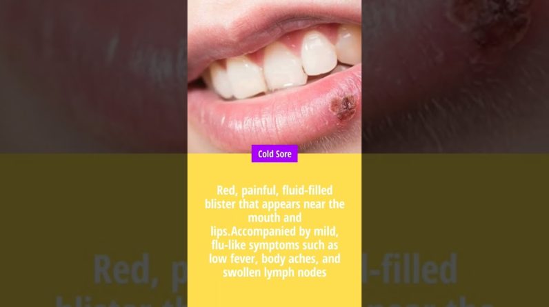 1765784617 maxresdefault