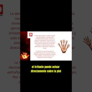 1765795614 maxresdefault