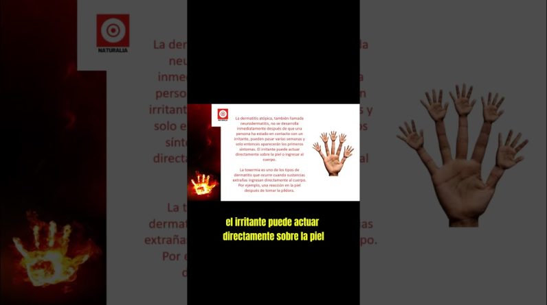 1765795614 maxresdefault