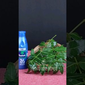 1765804075 maxresdefault