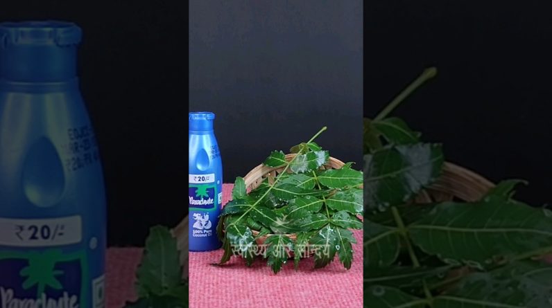 1765804075 maxresdefault