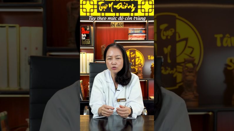 1765806631 maxresdefault