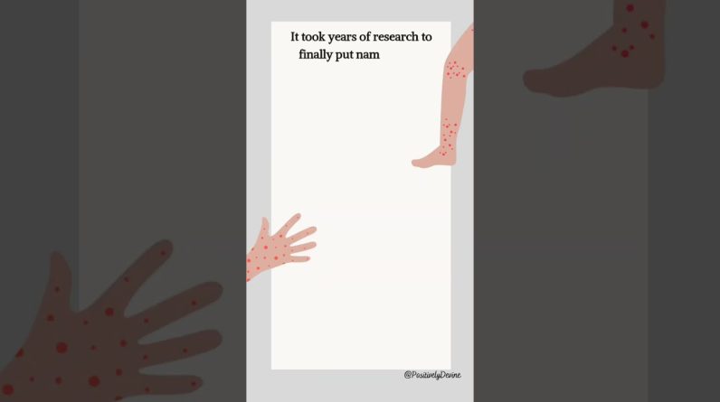 1765817655 maxresdefault