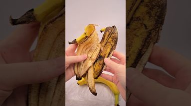 1765818794 maxresdefault