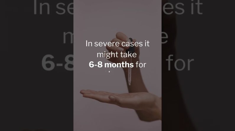 1765828832 maxresdefault