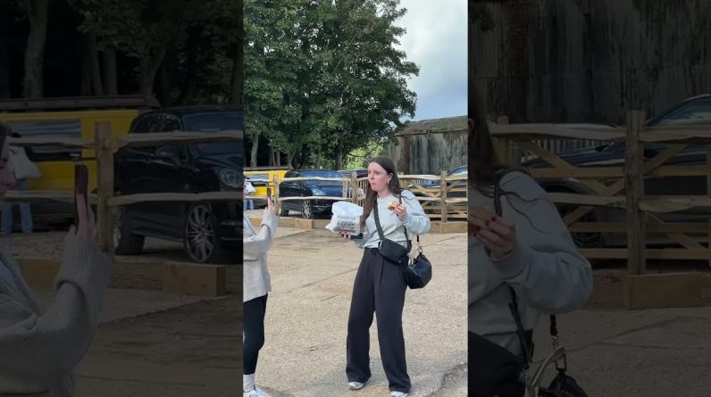 1765829886 maxresdefault