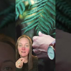 1765854450 maxresdefault