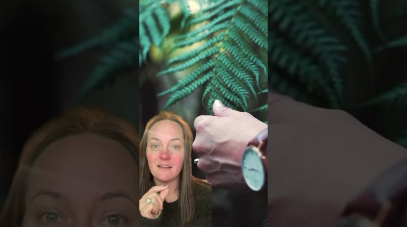 1765854450 maxresdefault