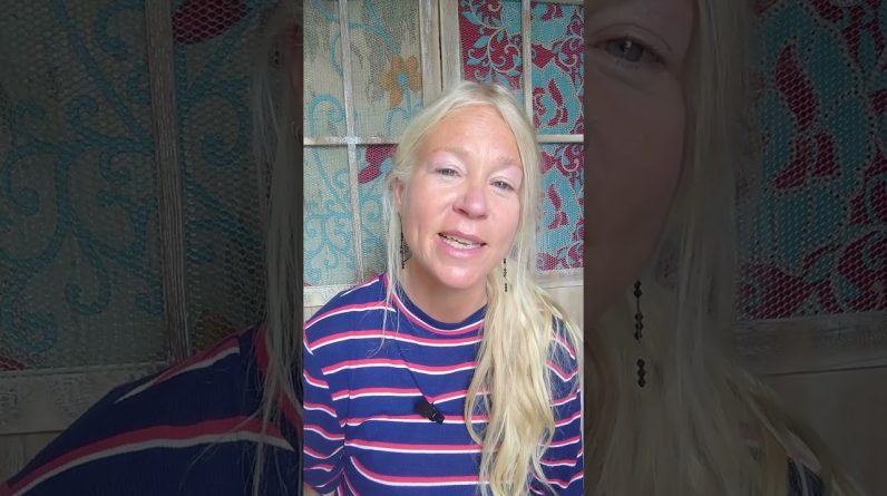 1765855437 maxresdefault