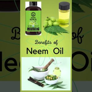 1765858975 maxresdefault