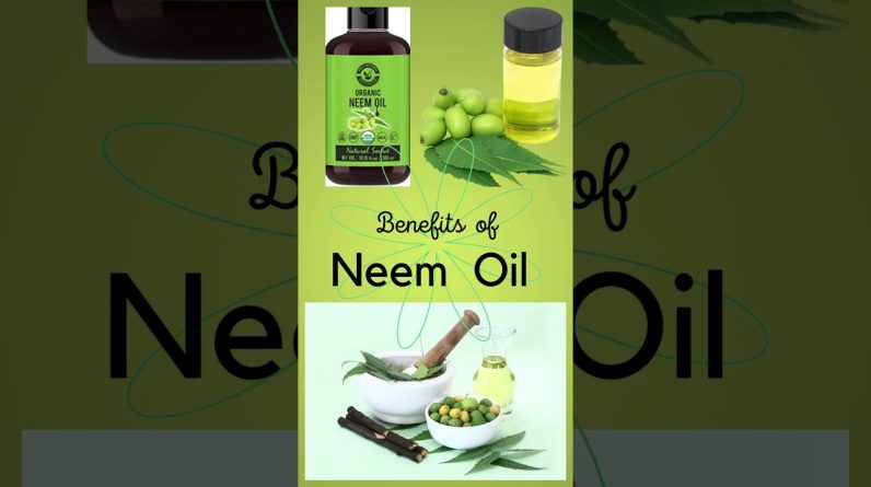 1765858975 maxresdefault