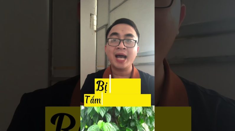 1765909205 maxresdefault