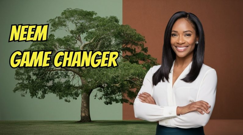 1765909344 maxresdefault