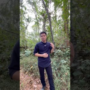 1765912864 maxresdefault