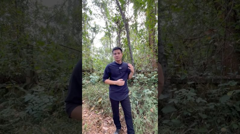 1765912864 maxresdefault