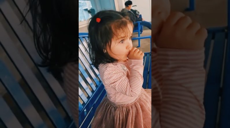 1765921211 maxresdefault