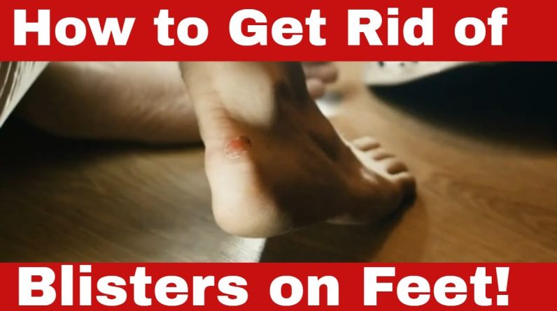 1765960446 maxresdefault