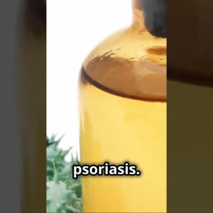 1765962236 maxresdefault