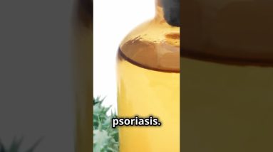 1765962236 maxresdefault