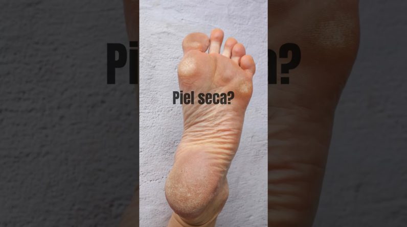 1765971529 maxresdefault