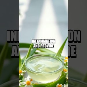 1765971667 maxresdefault