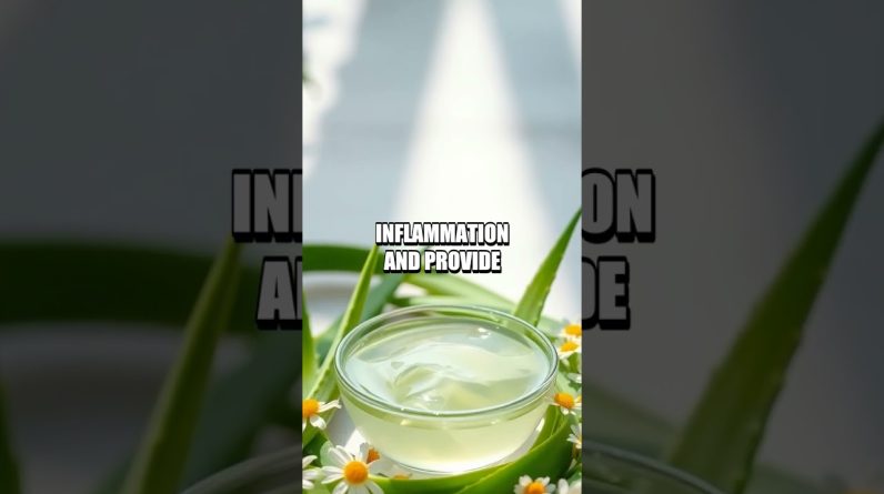 1765971667 maxresdefault