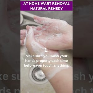 1765979942 maxresdefault