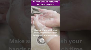 1765979942 maxresdefault