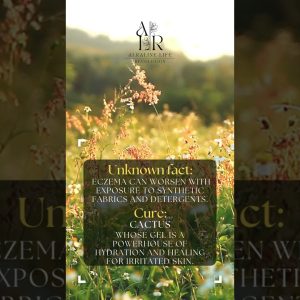 1765991554 maxresdefault