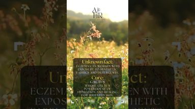 1765991554 maxresdefault