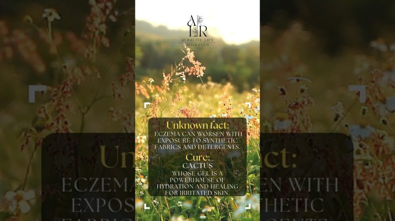 1765991554 maxresdefault