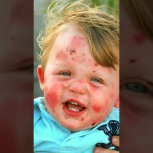 1765993455 maxresdefault