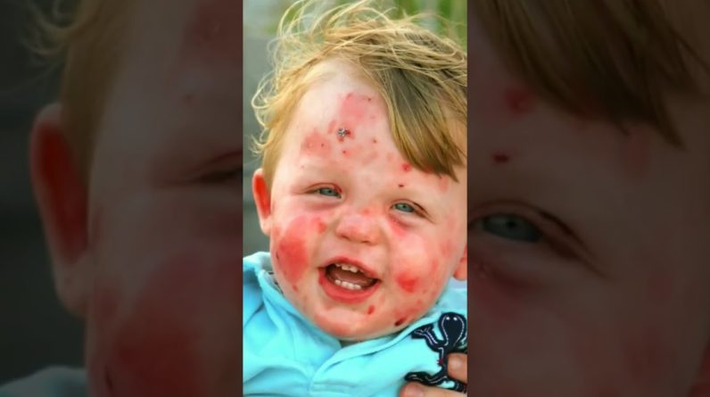 1765993455 maxresdefault