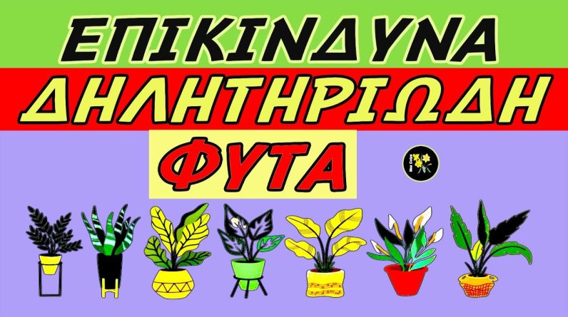 1765994688 maxresdefault