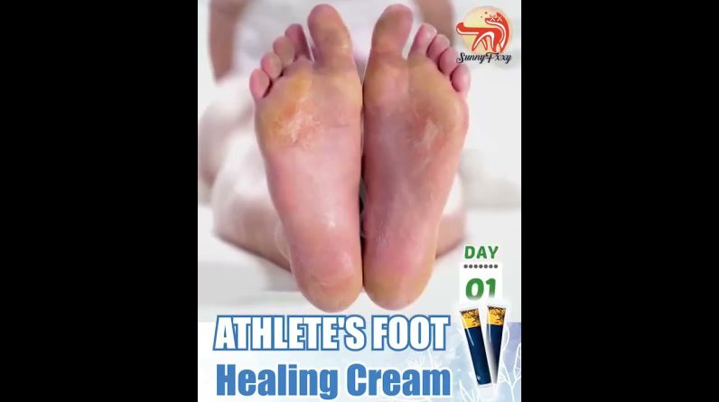 1765997099 maxresdefault