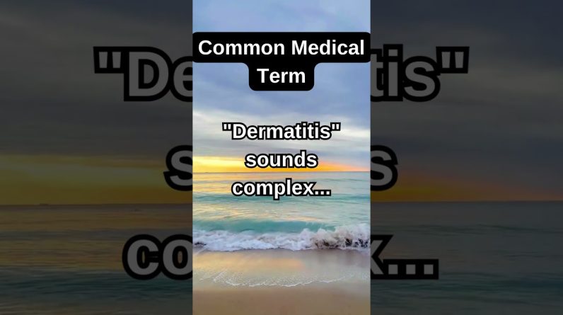 1766005589 maxresdefault