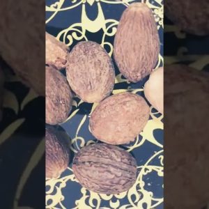 1766009995 maxresdefault