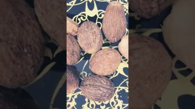 1766009995 maxresdefault