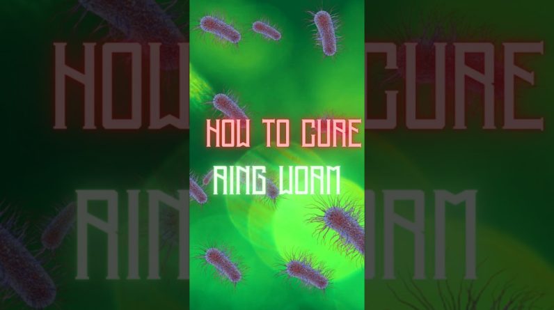 1766011716 maxresdefault