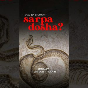 1766012873 maxresdefault