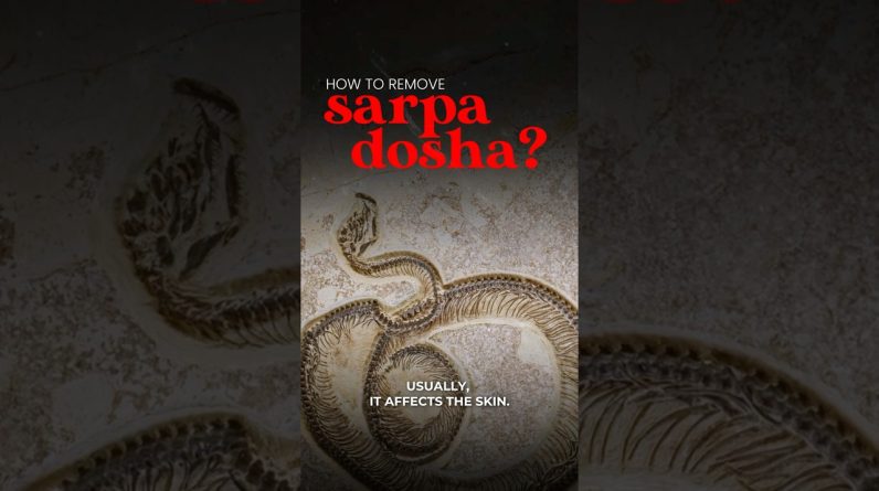 1766012873 maxresdefault