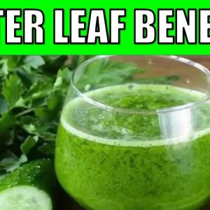 1766023863 maxresdefault