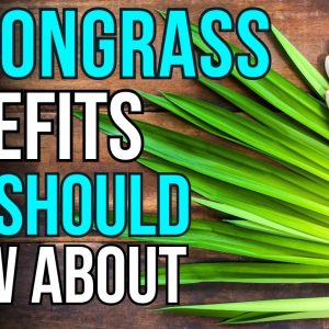 1766031173 maxresdefault