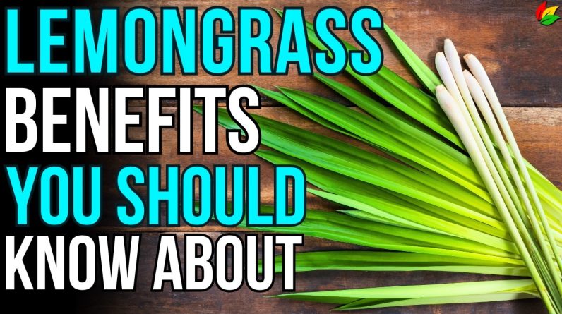 1766031173 maxresdefault